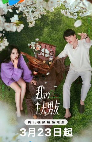 Мой парень-домохозяин