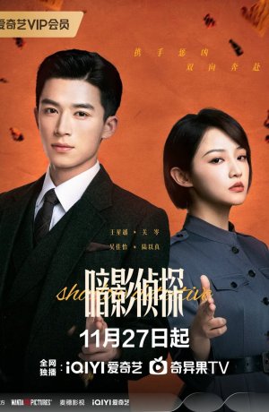 Теневой детектив